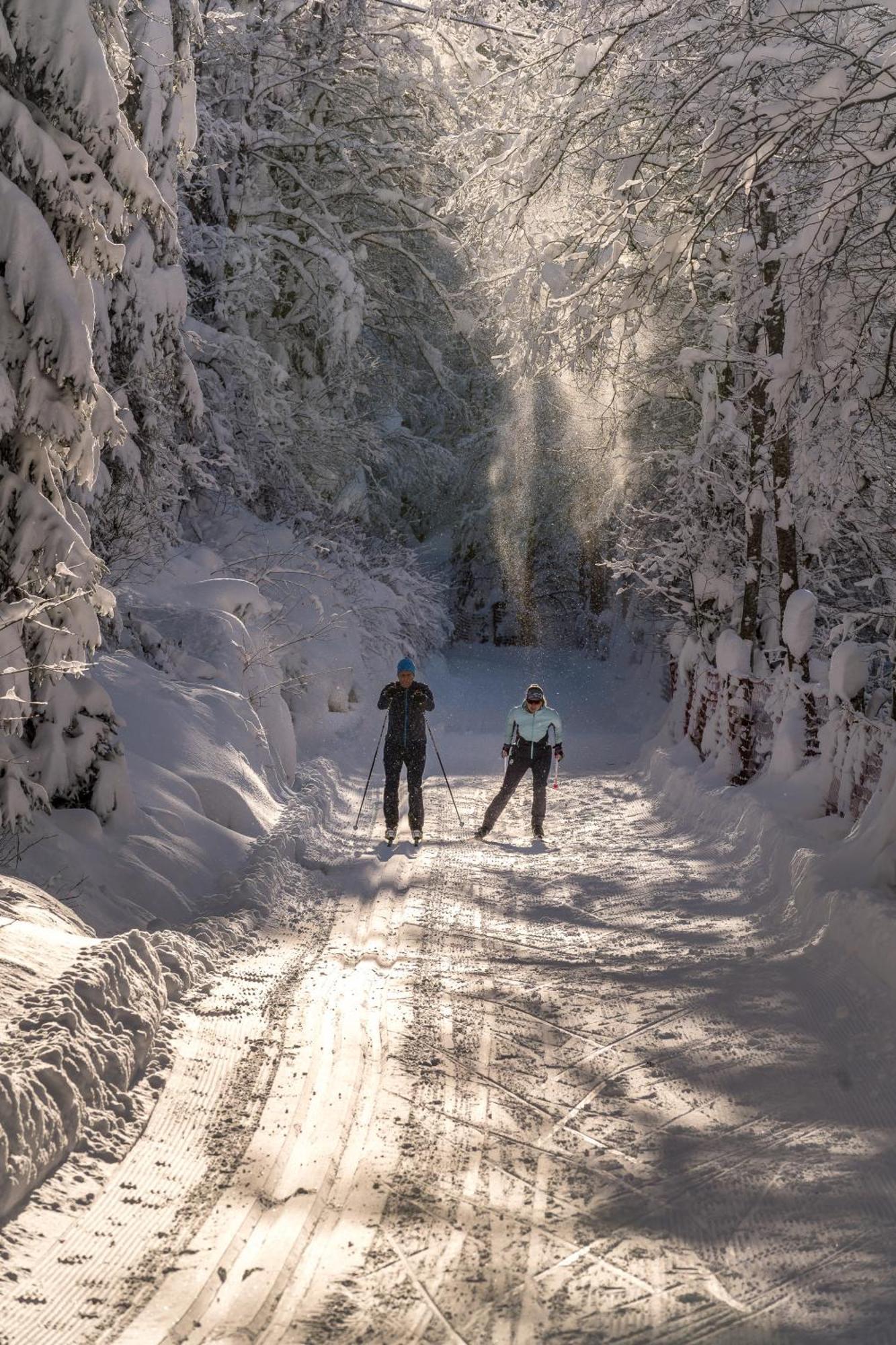 Natur- & Wanderhotel Tuxertal Bagian luar foto